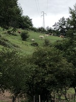 bienvenue chez nous!